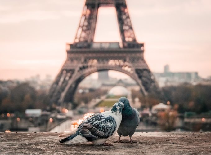 Eiffelovka jako dominanta Paříže. Co jste o ocelové dámě nevěděli?
